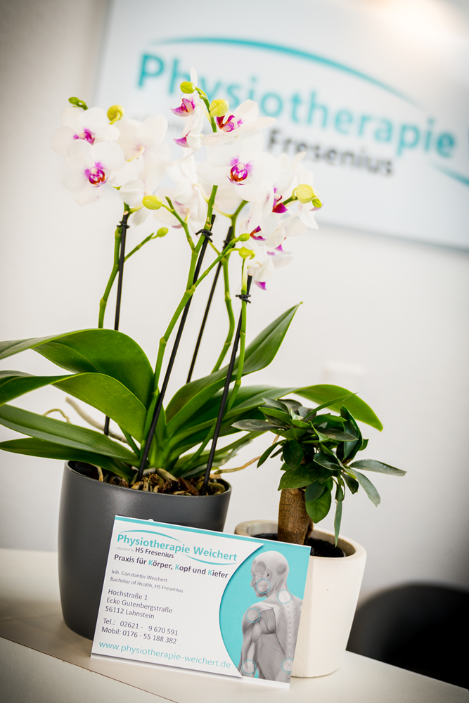 thumb Pflanze mit Flyer